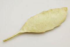 12fe4e70-0b6f-4d21-bd42-f3c20ce54c64_l