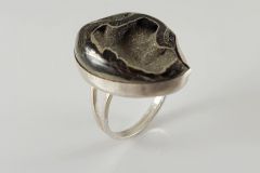 c778f8c2-4de5-4750-81ab-bf93d31a9d75_l