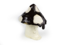 Ethny Vander Kelen - Drippy Mushroom