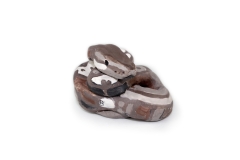 Isabella Mancuso - The Ball Python